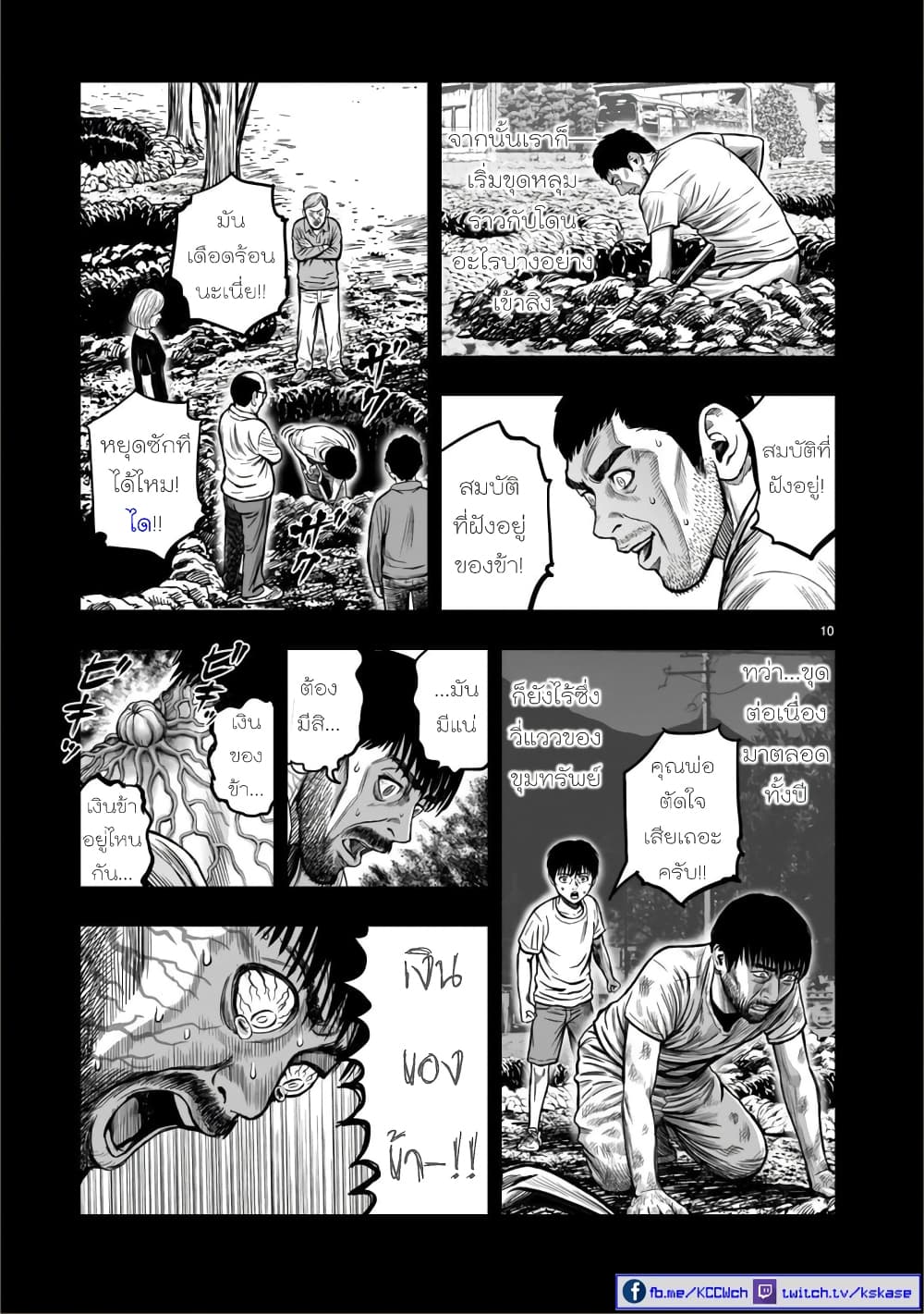 Rooster Fighter 10 (9)